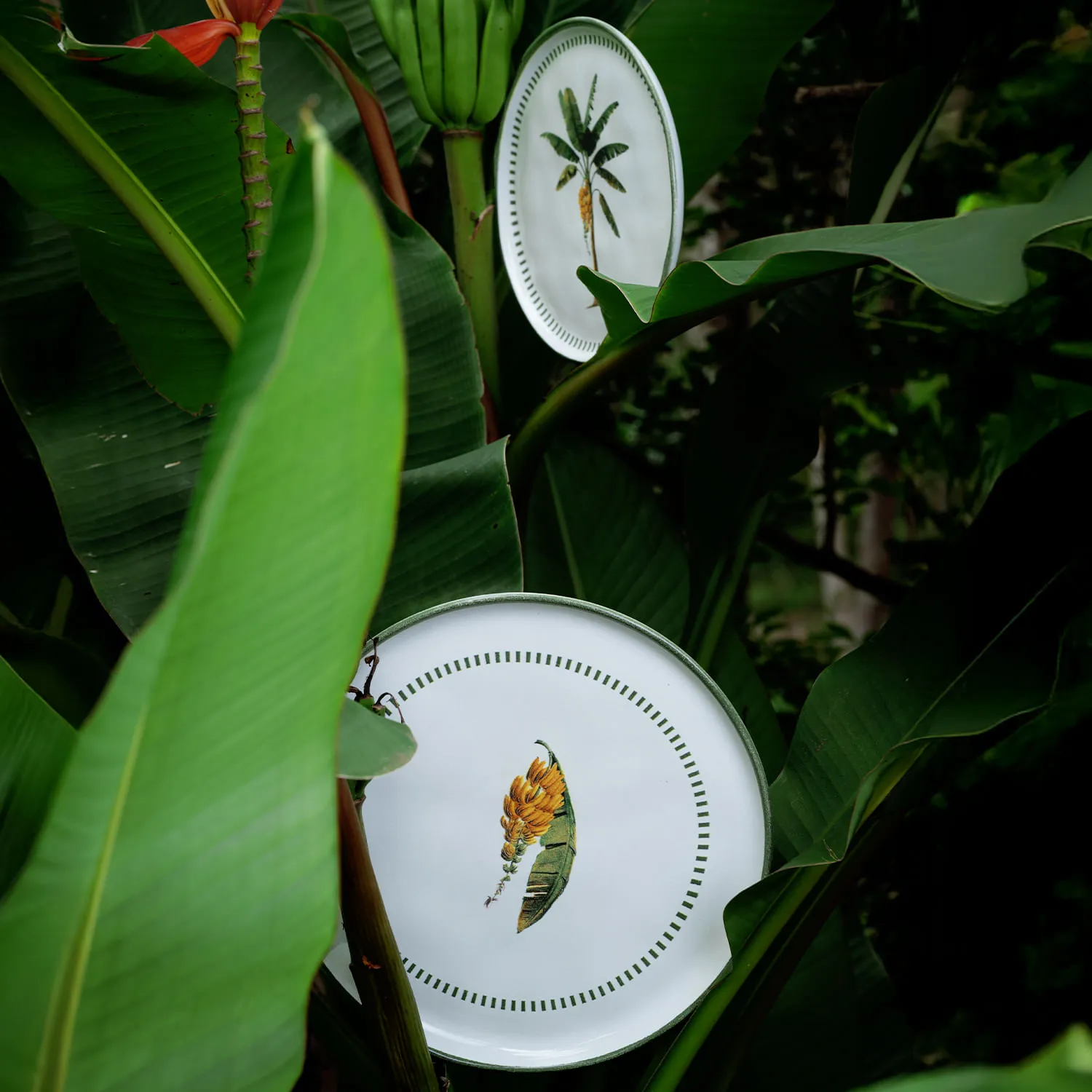Conjunto com 6 Pratos Raso Bio Bananê Ø27,5cm