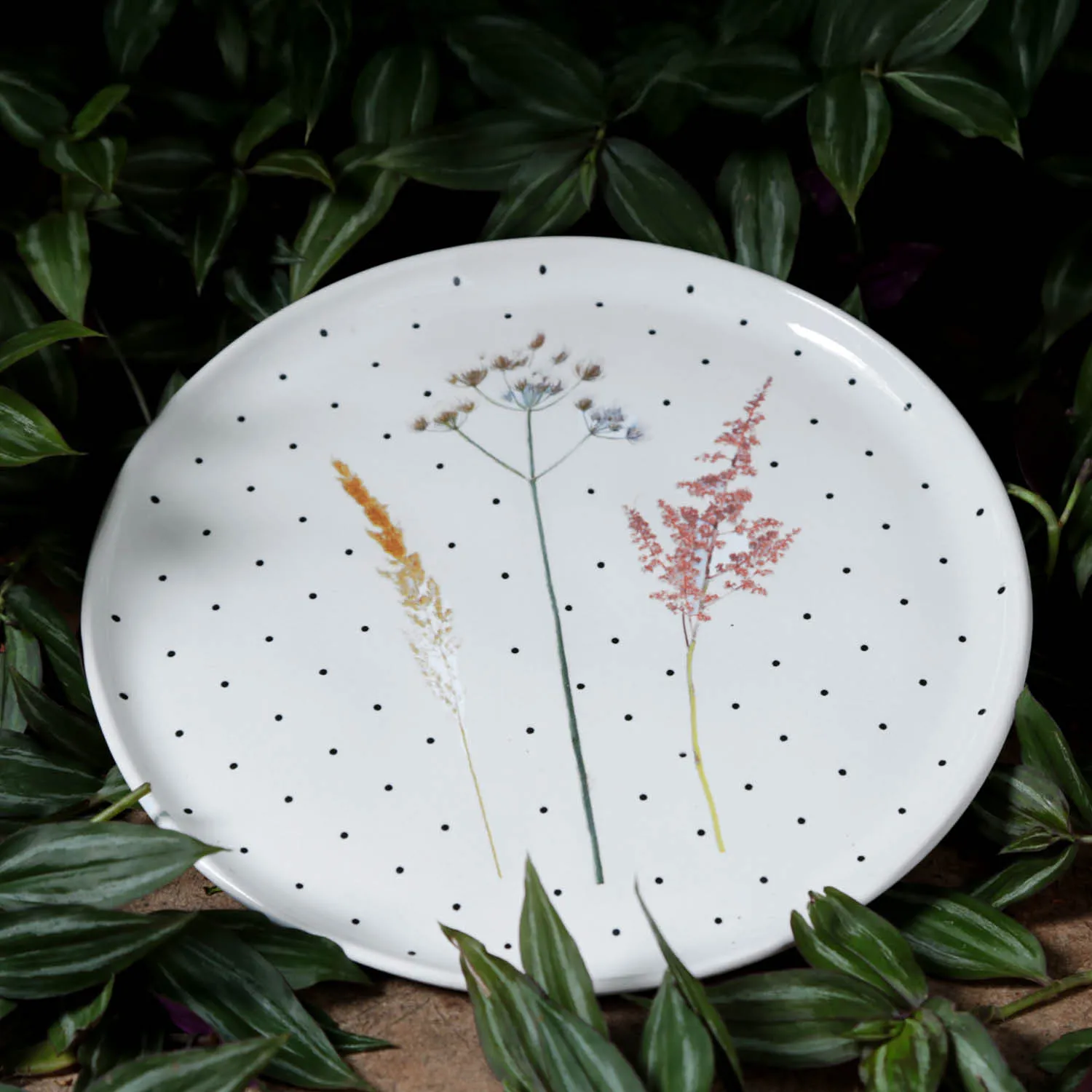 Conjunto com 6 Pratos Raso Bio Floralis Ø27,5cm