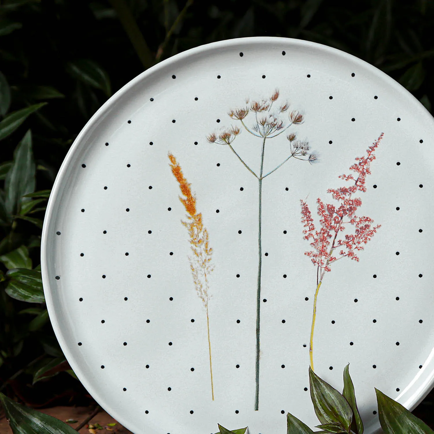 Conjunto com 6 Pratos Raso Bio Floralis Ø27,5cm