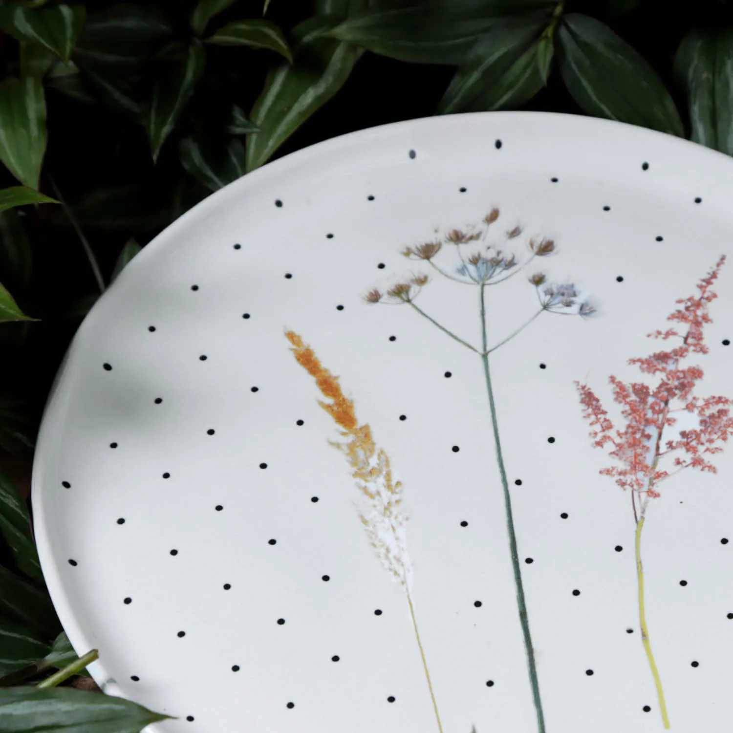 Conjunto com 6 Pratos Raso Bio Floralis Ø27,5cm