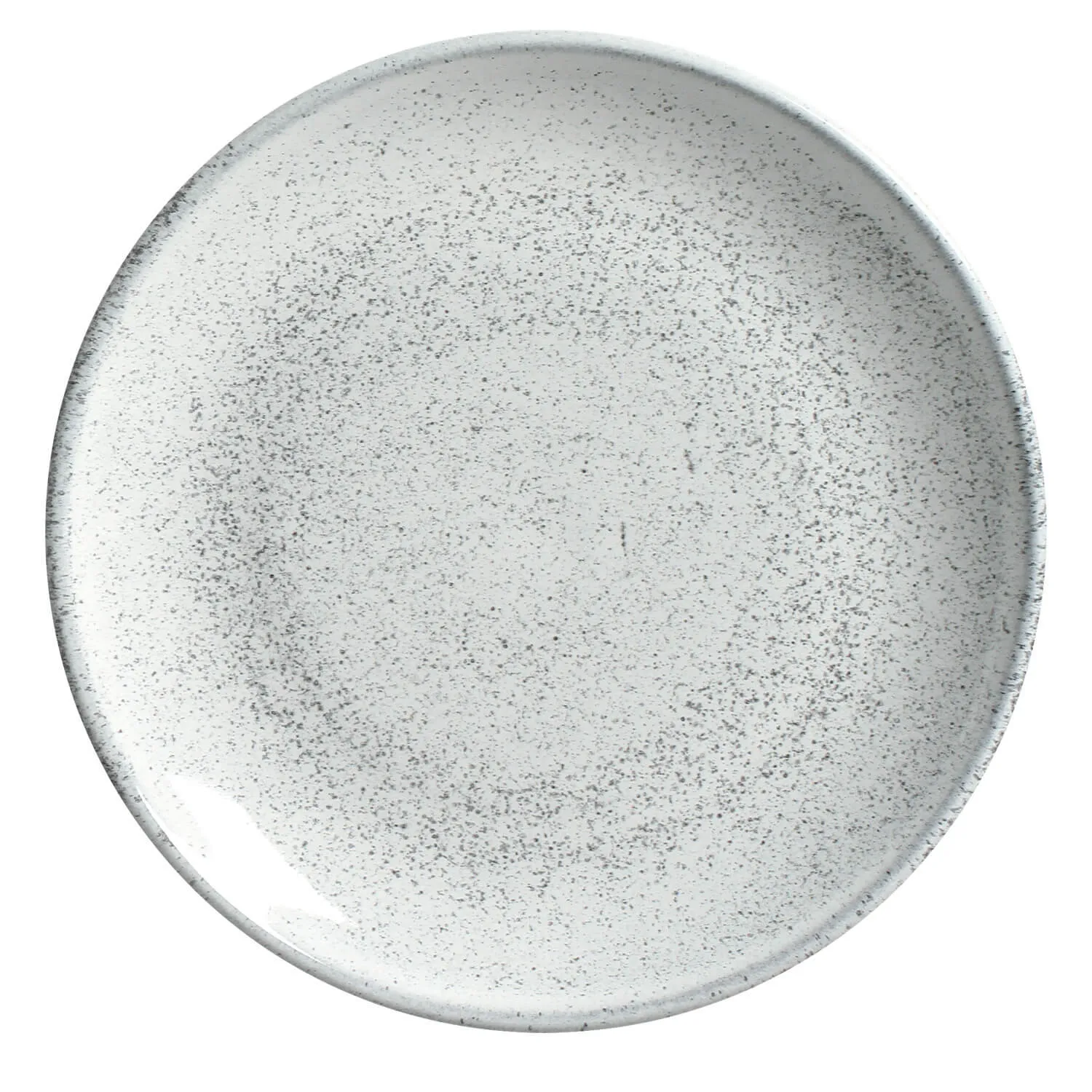 Conjunto com 6 Pratos Raso Coup Stoneware Hotelaria Echo Ø26,5cm