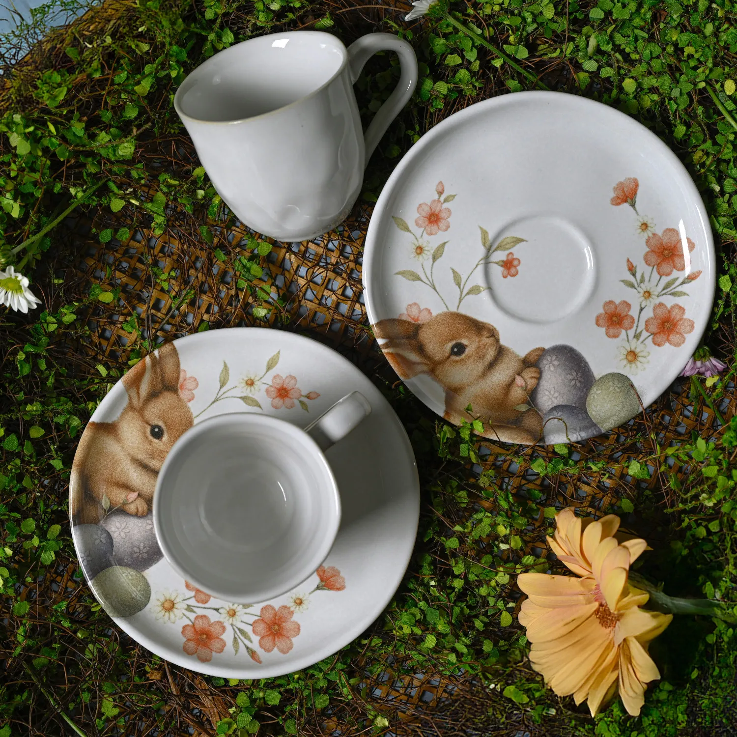 Conjunto com 6 Xícaras De Café com 6 Pires Bio Doce Ninho 120ml